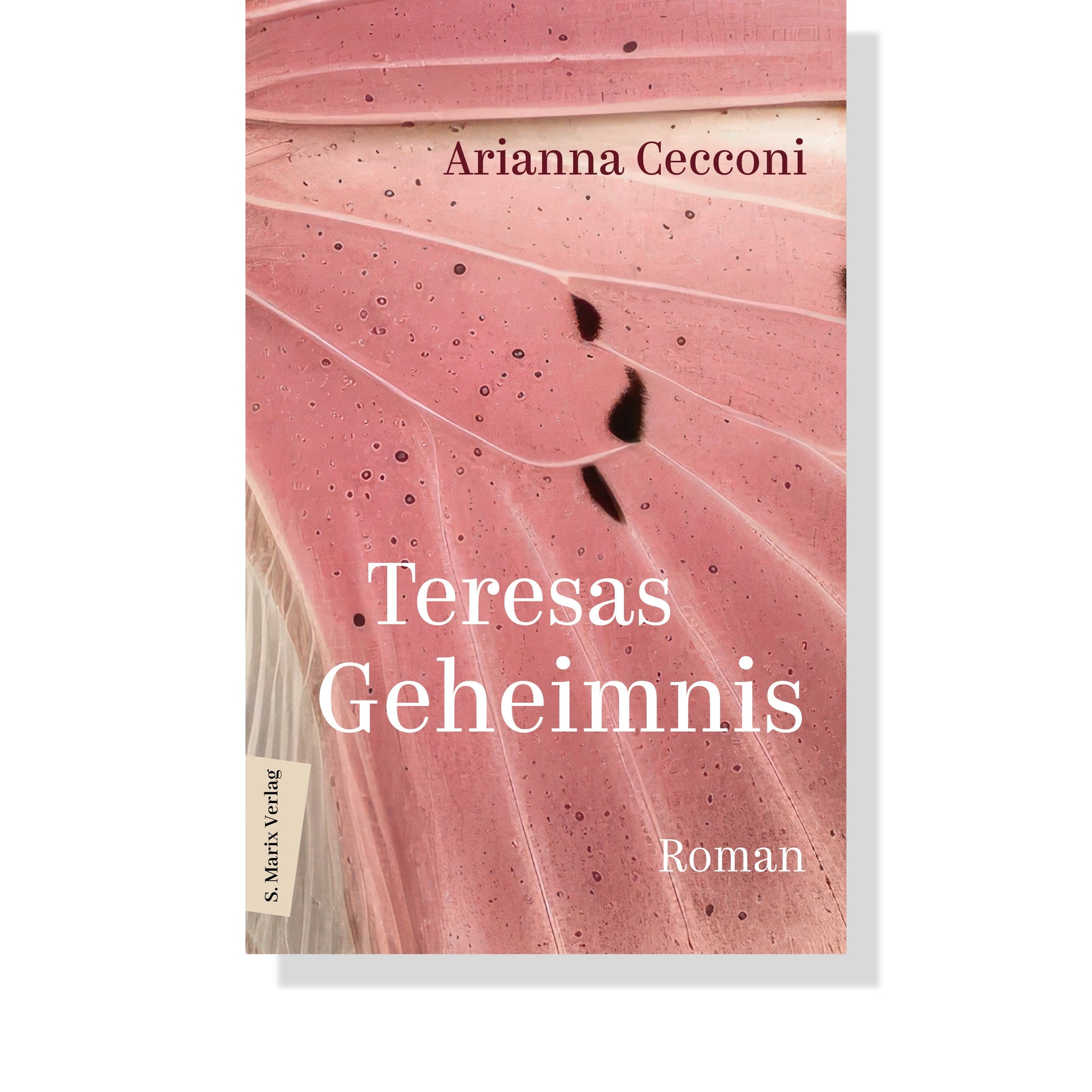 Teresas Geheimnis